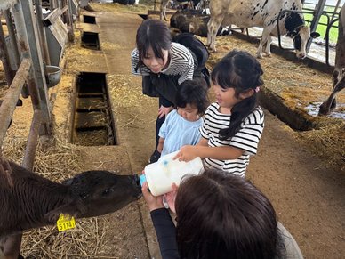 酪農体験の様子